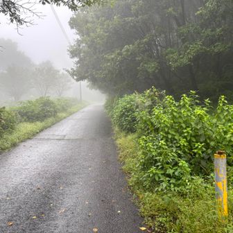 そして、場所変わって水沢山
濃い霧の中です