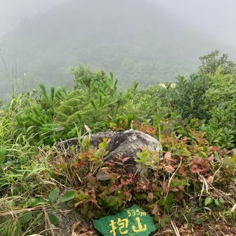 山頂見えません