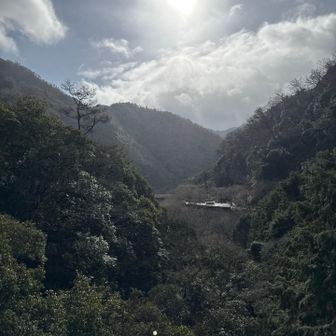たまに晴れ間もあるのですが、降りっぱなしです