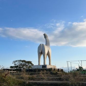 陣馬山から下山開始
