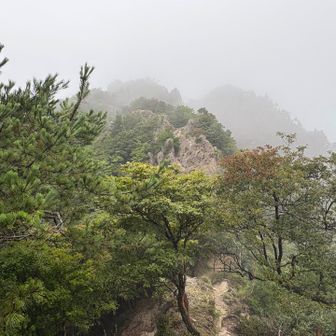 山頂どこ
繰り返し響き渡る頭上の雷鳴にビビり迷わず
鎌ヶ岳山頂キャンセルします