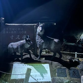 おはようございます🌙
朝は寒い🥶さぁ行きますか〜