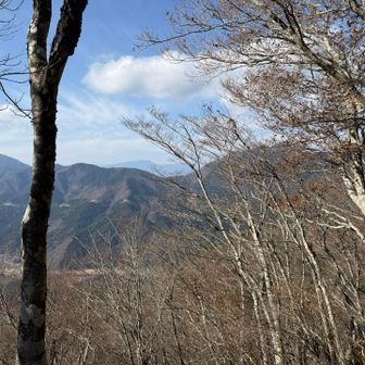 奥に鳳凰山