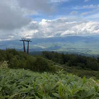 良い景色〜