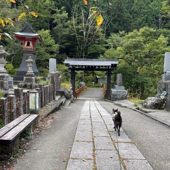 無事、下山。