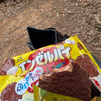 先に南山頂上　チョコパイの中で一番好き　中のマシュマロが神♪売ってるとこ少ない