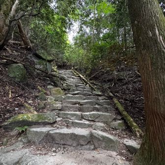 登ります！