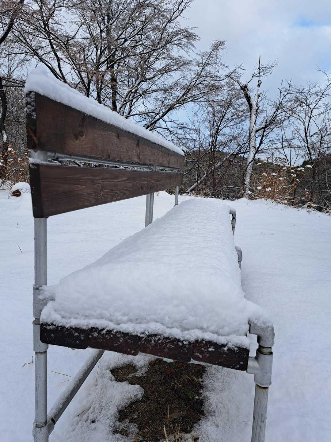 ベンチにもふわふわの雪⛄