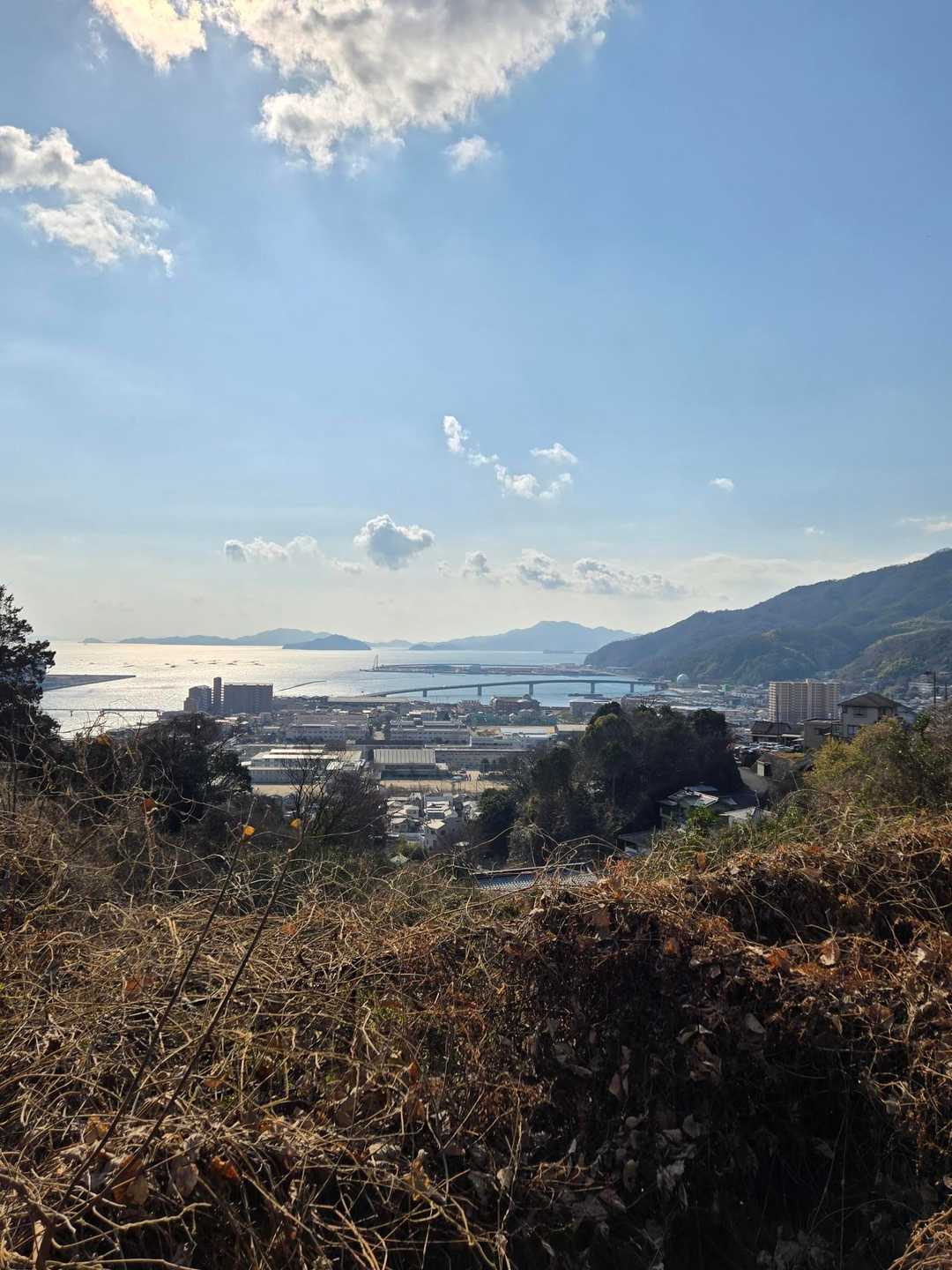 母校が見えます。　半世紀前に卒業しました。
あの頃は夢も希望もあったな。