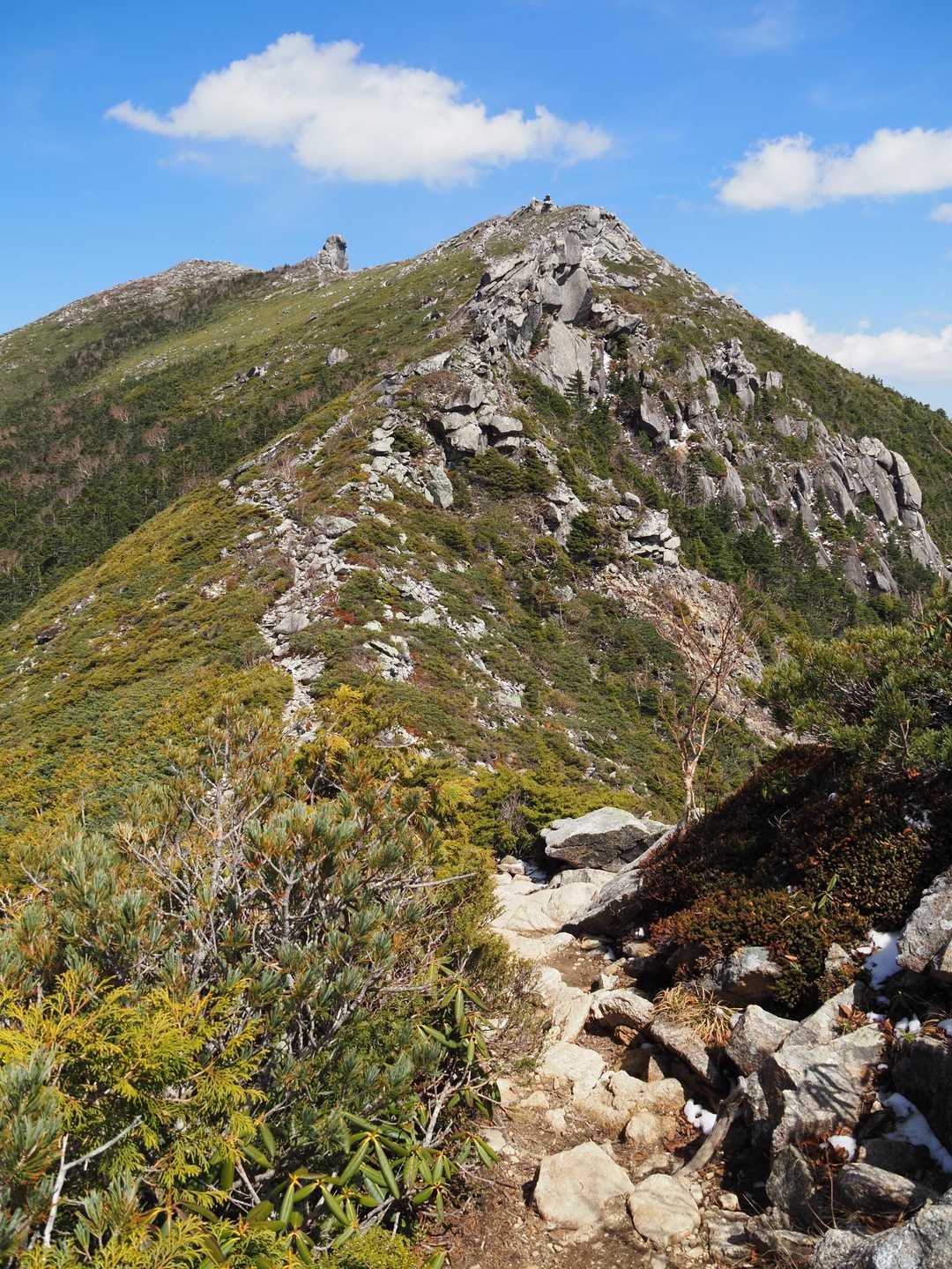 林を抜けたら金峰山山頂が😆✨まだまだ遠く感じる🥹1時間くらいかな。
