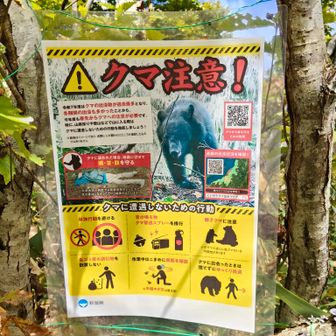 熊注意。防御態勢。うつ伏せになって、手で首を守る！