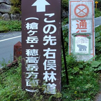 こちらからは、登る自信が無くなりました。
思った通りハードです。