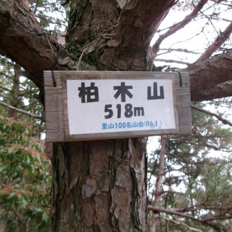 柏木山５１８ｍ