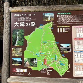 都民の森からスタート♪

奥多摩周遊道路は夜間通行止めなので、武蔵五日市方面からアクセスしないと辿りつけません。。。

その情報があったので五日市方面から向かったのに、Googleマップで誤誘導されて怪しい細道をうねうね走行。最後は一般車侵入禁止で行き止まり。朝から1時間ロス😓