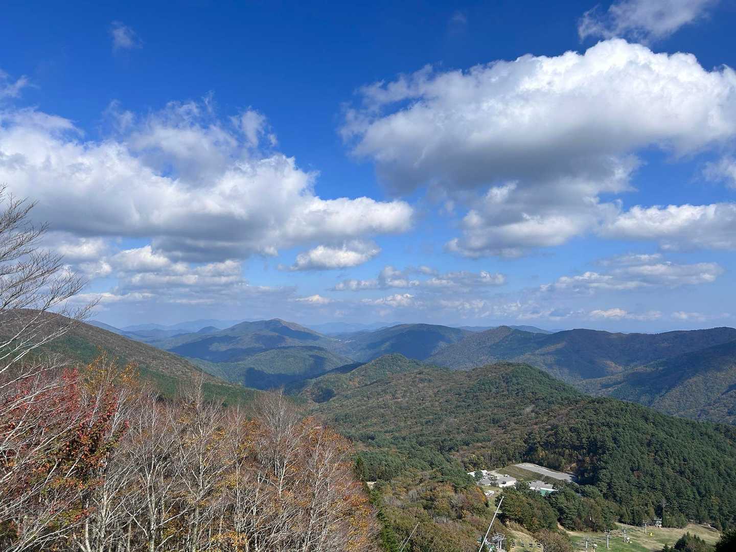 恐羅漢山登山口-夏焼峠-恐羅漢山 周回コースの写真