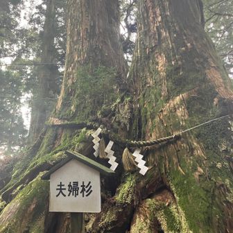 いつまでも寄り添って😌