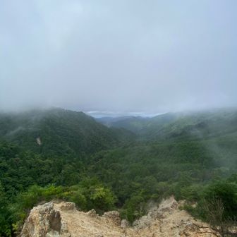 下山中に雨が止んで来ましたねえ☂️
