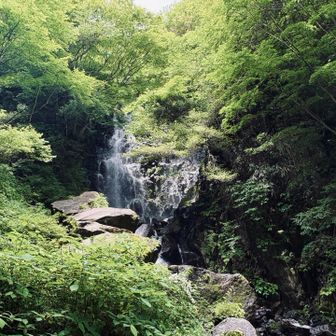 \\飛龍の滝//大きかった！！
もっと近くまで行けたっぽい？