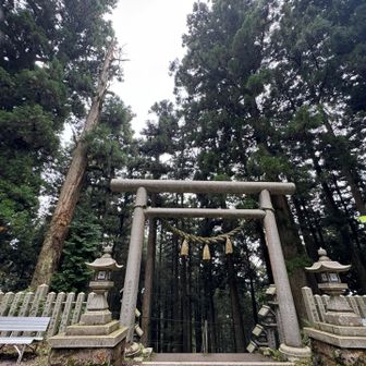 しめ縄に付いている苔が素晴らしい