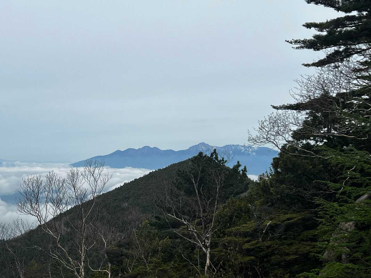 八ヶ岳😊
こっちは絶対行く！