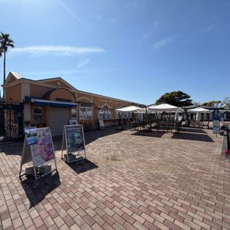 フラワーガーデン着🪴