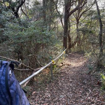 旦那氏倒木を片付けてスッキリ