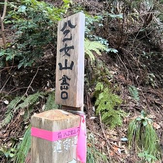 前八乙女山に向かう登山道です   井波の瑞泉寺が起点の道宗道のコ一スにもなっています