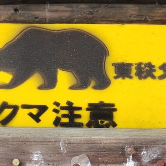 我が盟友はいずこに？