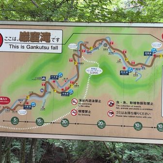ここが最後の滝となります