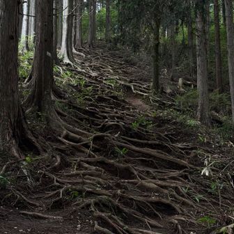 堂所山への登り