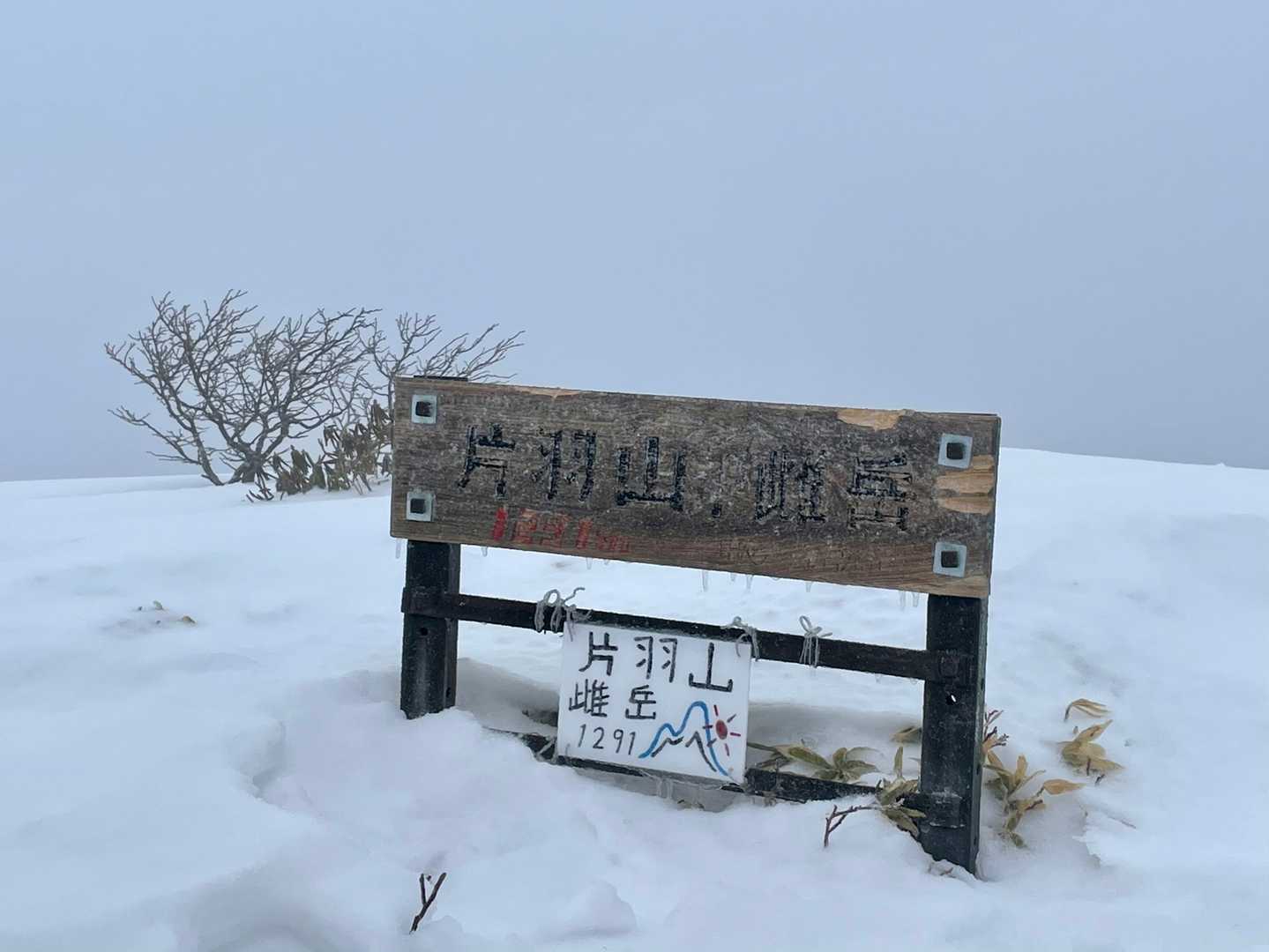 雌岳山頂✨
去年、六甲牛から見て憧れた山頂に辿り着けました👍