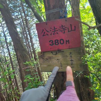 「広法寺山」380mとぉーちょー🐾