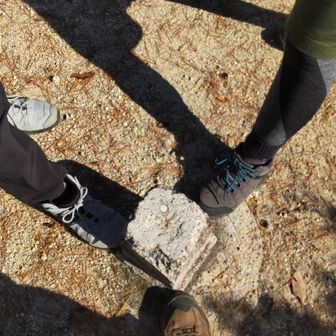 ■岸根
等級 :　三等三角点
標高 :　458.4m
場所 :　山口県岩国市