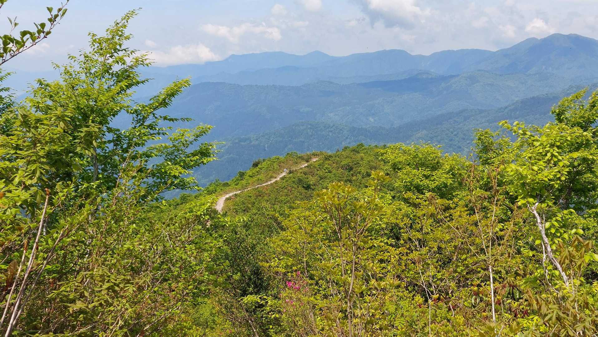 数分前に歩いた登山道👀📷。