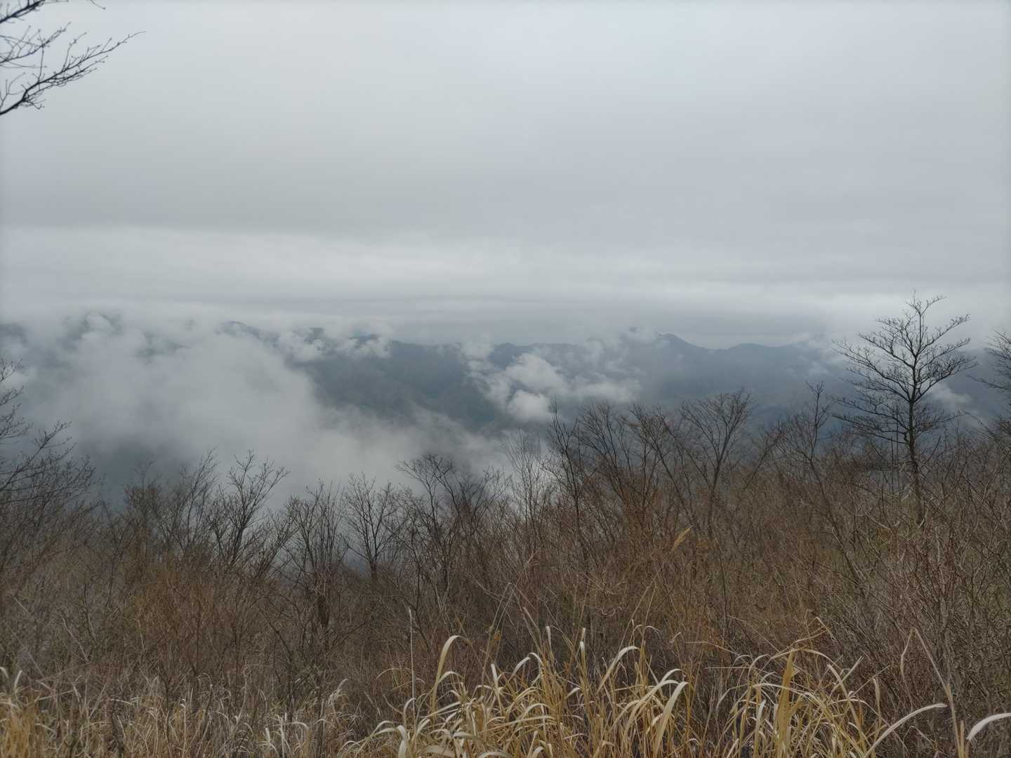 菜畑山 往復コースの写真