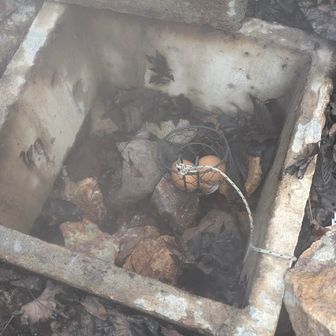 10m程で到着
コンクリートの蓋を開けて
🥚をセット！
熱いので軍手必須