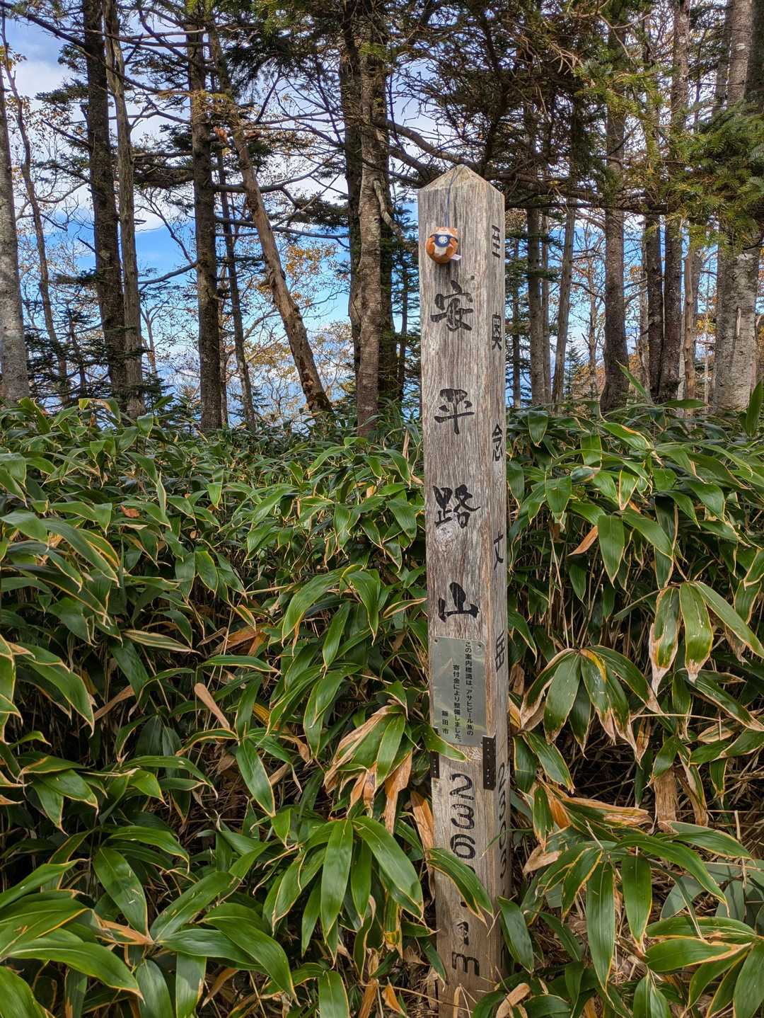 藪漕ぎする事2時間
最後は急登でした🥵
多分二度と来る事は無いでしょう😌