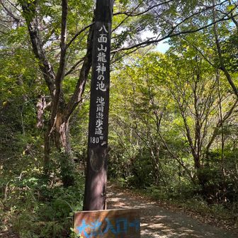 大池に立ち寄り