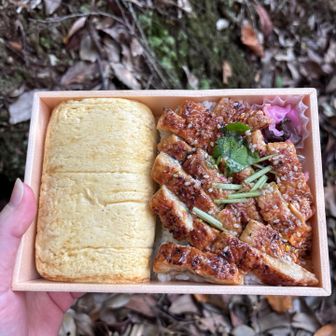 朝、京都駅で購入した、離宮のお弁当。
お腹が空きすぎて、ベンチも何もない場所で食す。
地面には、コナラの細長いどんぐりが、たくさん落ちていました。