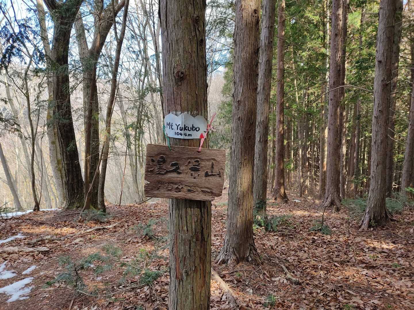 湯久保山。
ここも巻いちゃってました。
初登頂の多摩百。