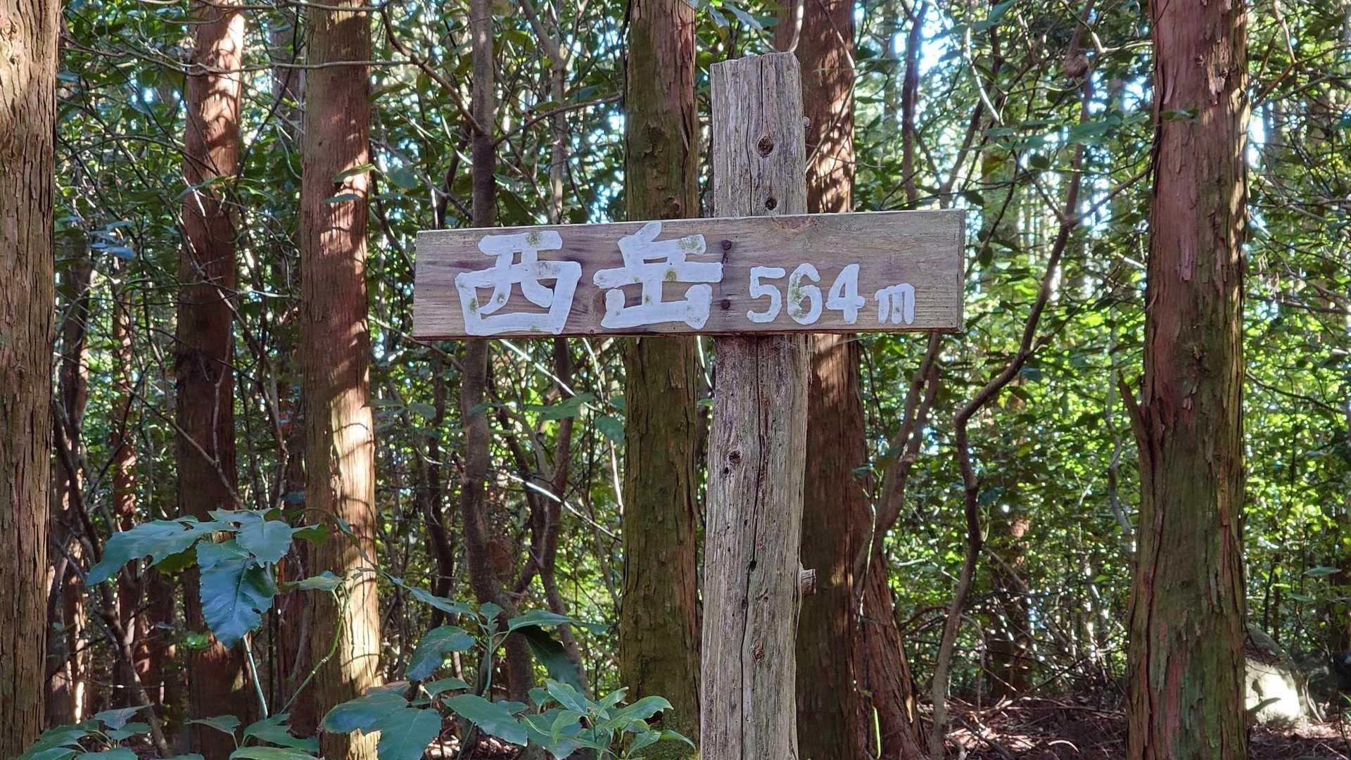 少し行くとすぐに山頂。景観はなし。