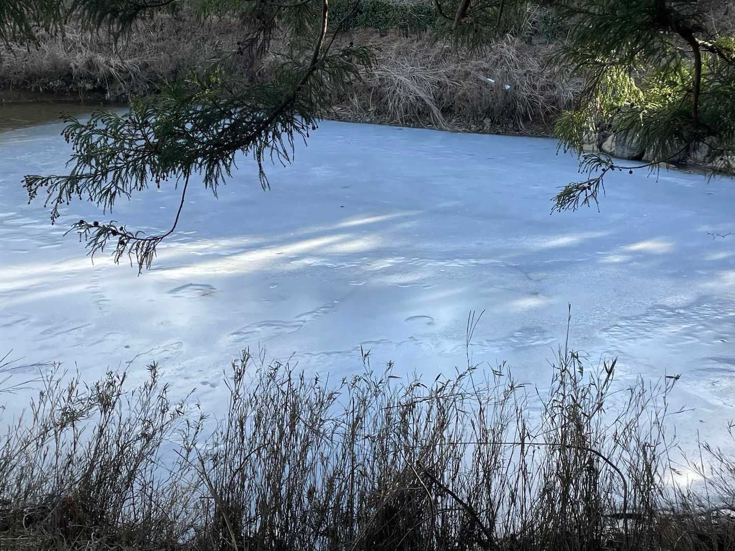 氷が🧊✨できるくらい気温が下がって寒い🥶❄️