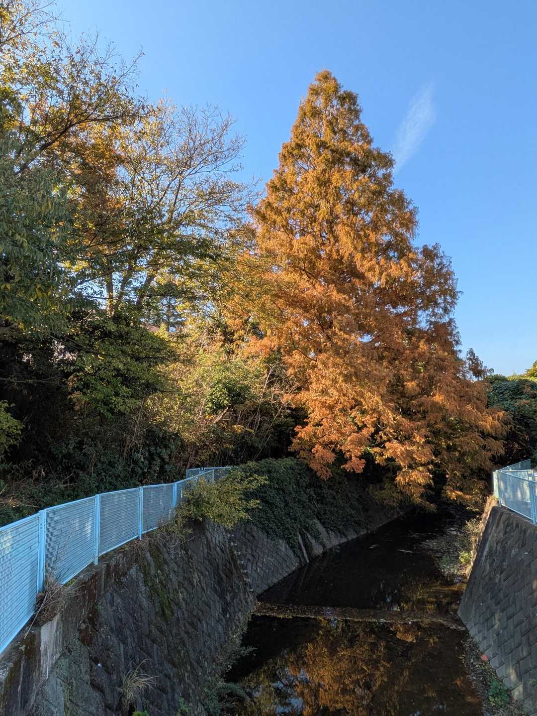一旦住宅地へ下りてきて