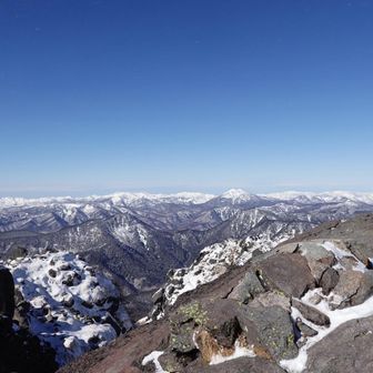 爆風すぎて同定出来ず。。