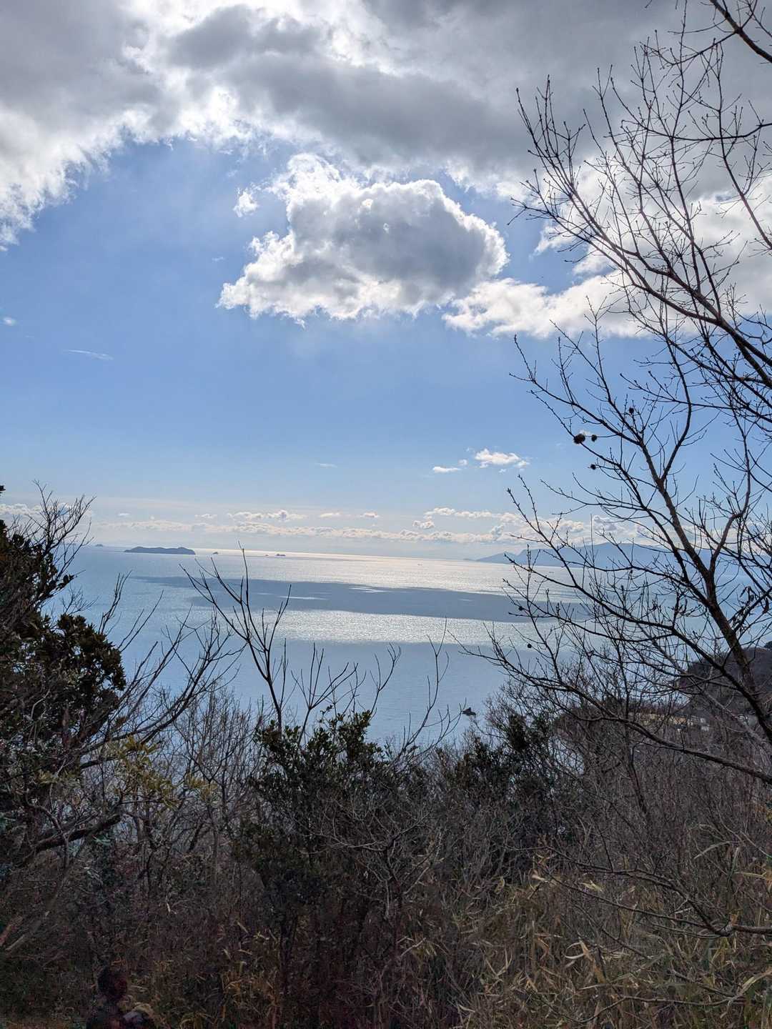 降りてる途中も綺麗