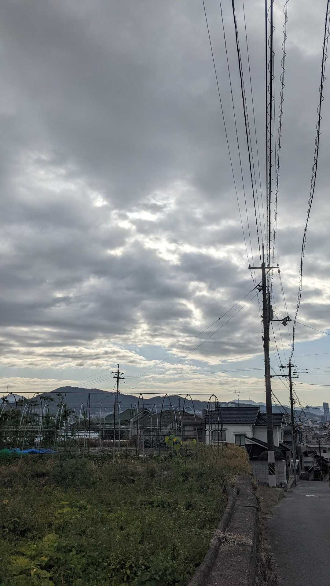 曇天に