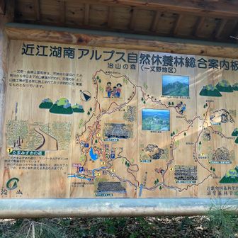 自分主催だと急ぎ足になっちゃいがち🤨
もっとのんびりしたいのになあ...