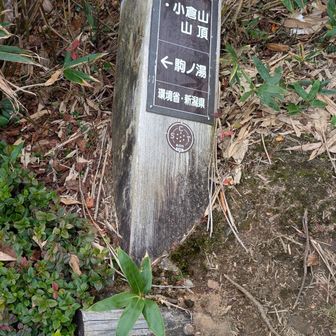 小倉山標識倒れてました😅