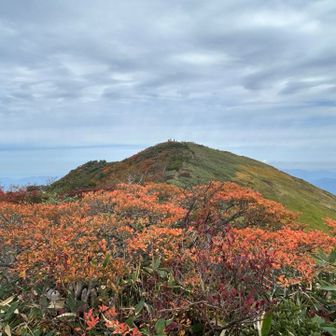 タイトル画像候補②、紅葉のバックに越駒山頂