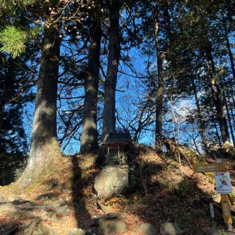 大根ノ山ノ神

この祠に一礼
ここまで来れば鳩ノ巣までもう少し